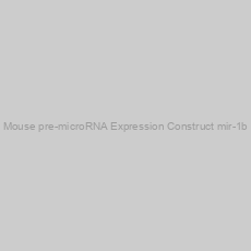 Image of Mouse pre-microRNA Expression Construct mir-1b